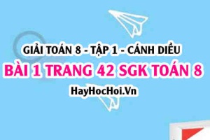 Giải bài 1 trang 42 Toán 8 Tập 1 SGK Cánh Diều: Cộng trừ phân thức cùng mẫu, khác mẫu